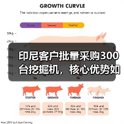 印尼客户批量采购300台挖掘机,核心优势如何打动市场?(图4) 印尼客户批量采购300台挖掘机,核心优势如何打动市场?(图4)