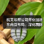 杭叉印尼公司开业加速东南亚布局,深化国际化战略(图3) 杭叉印尼公司开业加速东南亚布局,深化国际化战略(图3)