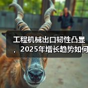 工程机械出口韧性凸显,2025年增长趋势如何?(图1) 工程机械出口韧性凸显,2025年增长趋势如何?(图1)