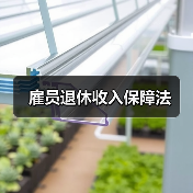 雇员退休收入保障法(图2) 雇员退休收入保障法(图2)