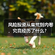 风险投资从蛮荒到内卷,究竟经历了什么?(图3) 风险投资从蛮荒到内卷,究竟经历了什么?(图3)