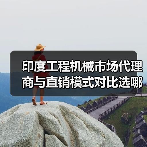 印度工程机械市场代理商与直销模式对比选哪个 - 