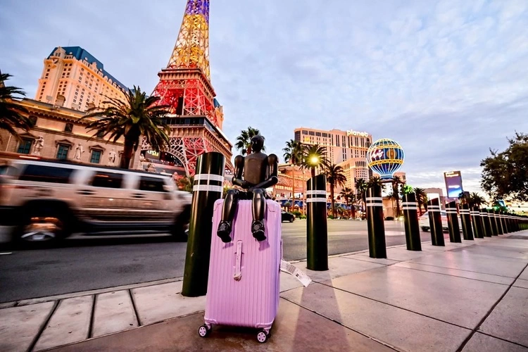 CES 2026最火爆打卡点，竟然是一款能装进背包的机器人(图4)