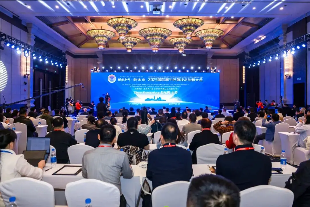 黑牛肝菌产业技术创新与全球发展新路径探索(图1)