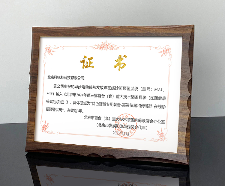 首台套重大技术装备认定通过，电机监测技术获权威认可(图1)