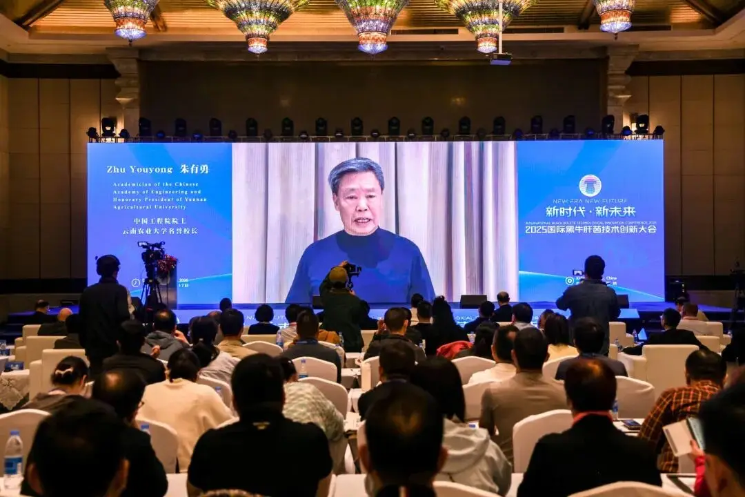 黑牛肝菌产业技术创新与全球发展新路径探索(图5)