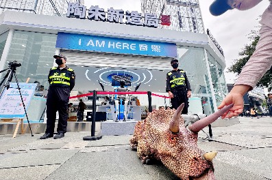 机器人沉浸式互动体验展亮相春熙路，探索具身智能未来生活(图3)