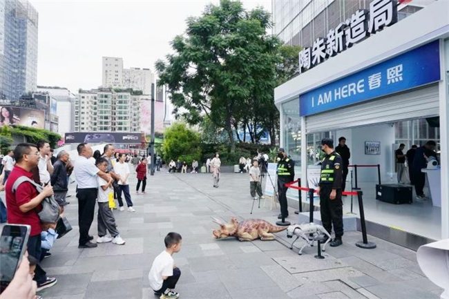 机器人沉浸式互动体验展亮相春熙路，探索具身智能未来生活(图15)