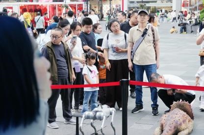 机器人沉浸式互动体验展亮相春熙路，探索具身智能未来生活(图8)