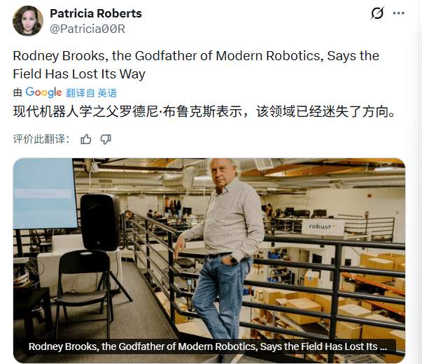 人形机器人泡沫破裂？专家警示安全与能耗难题(图1)