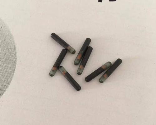 狗晶片作用与优势解析，宠物身份识别与追踪新方式(图3)
