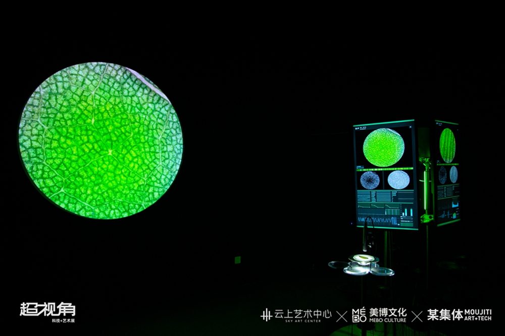科技与艺术交融的未来视角，探索超视角展览的沉浸体验(图1)