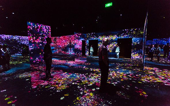 沉浸式数字艺术展：花舞森林与未来游乐园的互动体验(图1)