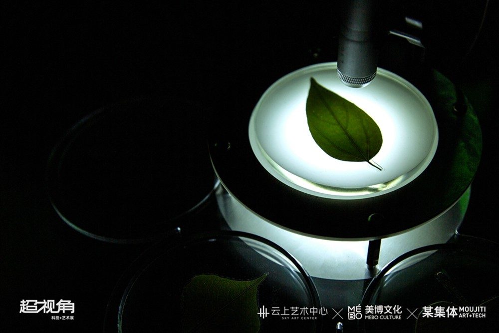 科技与艺术交融的未来视角，探索超视角展览的沉浸体验(图3)