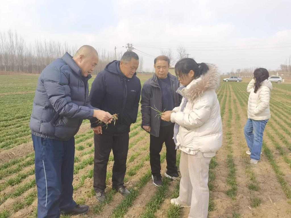 春耕生产全面展开，农资保障与科技赋能助力丰收(图3)