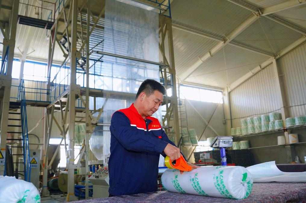 春耕生产全面展开，农资保障与科技赋能助力丰收(图1)